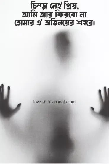 চিন্তা নেই প্রিয় আমি আর ফিরবো না তোমার ঐ অভি - sad status picture