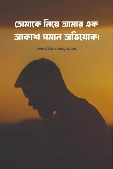 তোমাকে নিয়ে আমার এক আকাশ সমান অভিযোগ - sad status picture