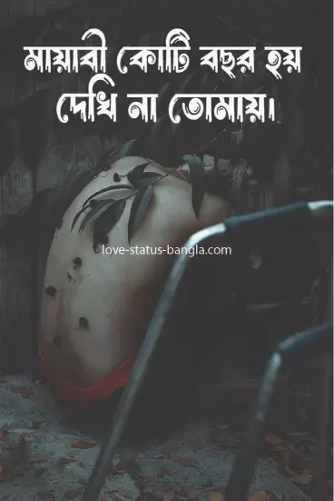 মায়াবী কোটি বছর হয় দেখি না তোমায় - sad status picture