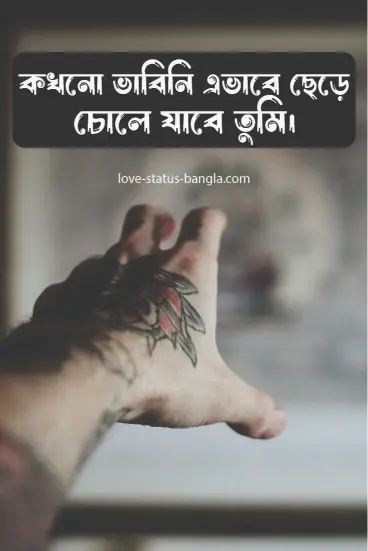 কখনও ভাবিনি এভাবে ছেড়ে চোলে যাবে তুমি - sad status picture