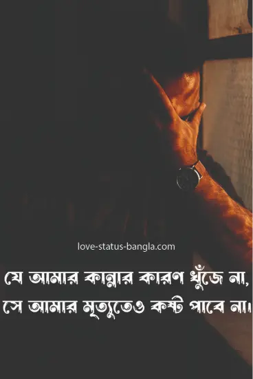 সে আমার কান্নার কারণ খুঁজে না, সে আমার মৃত্যু - sad status picture