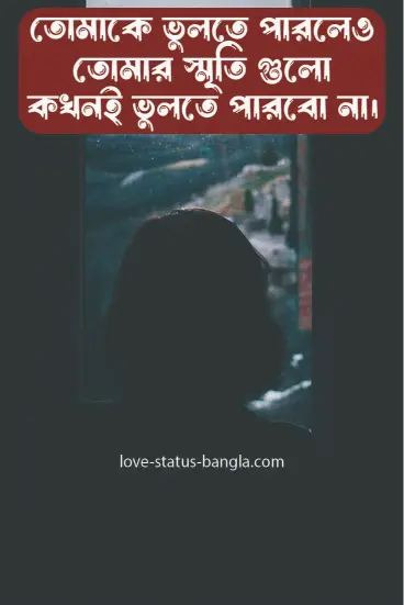 তোমাকে ভুলতে পারলেও তোমার স্মৃতি গুলো কখনোই ভ - sad status picture