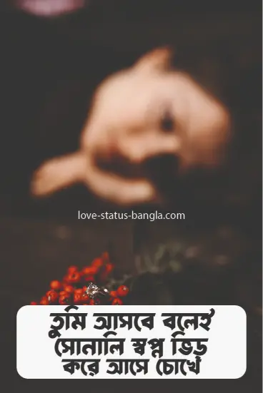 তুমি আসবে বলেই সোনালী স্বপ্ন ভিড় করে এসে চোখ - sad status picture