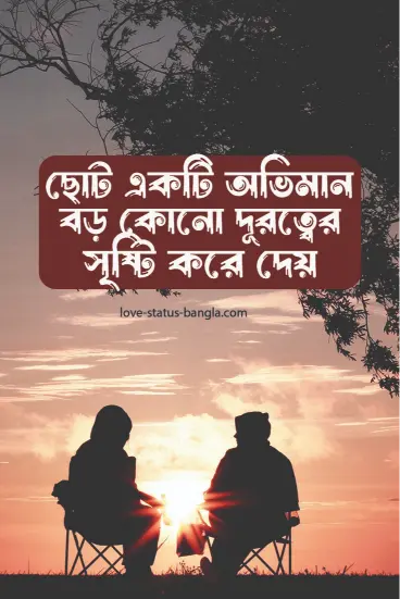 ছোট একটি অভিমান বড় কোনো দূরত্বের সৃষ্টি করে  - sad status picture