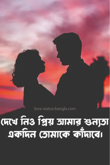 দেখে নিও প্রিয় আমার শূন্যতা একদিন তোমাকে কাঁ - sad status picture