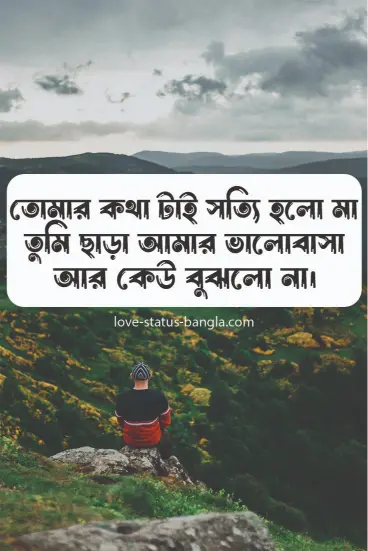 তোমার কথা টাই সত্যি হলো মা তুমি ছাড়া আমার ভাল - sad status picture